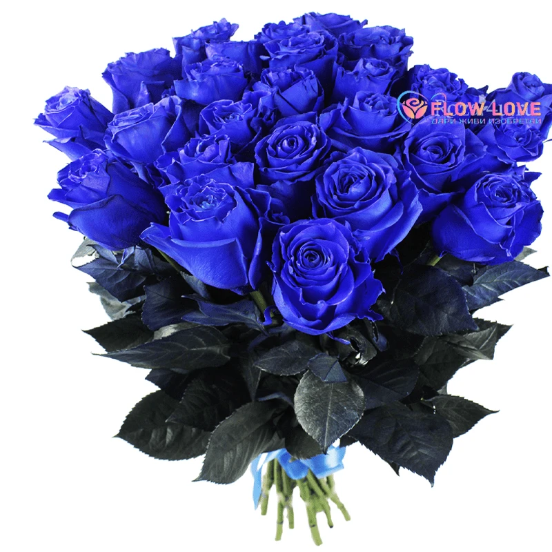Розы Синие