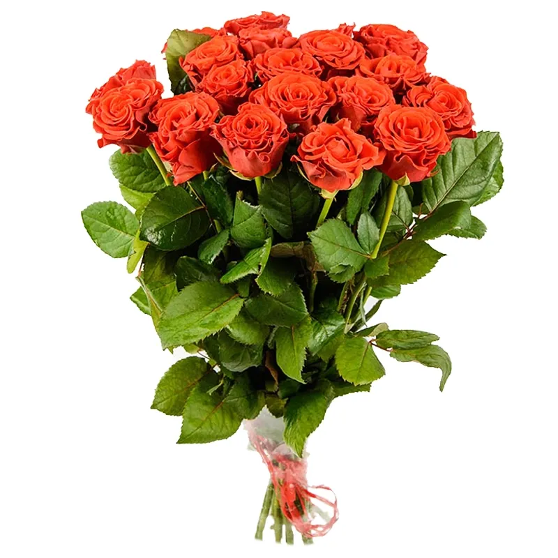 Букет из 21 розы оранжевого цвета