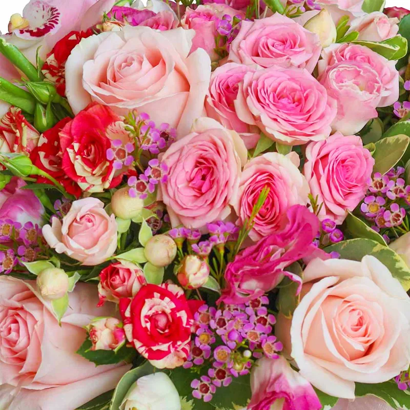 Цветы в коробке Огонь сердец