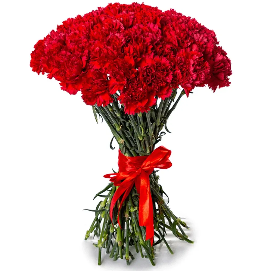 Гвоздика красная