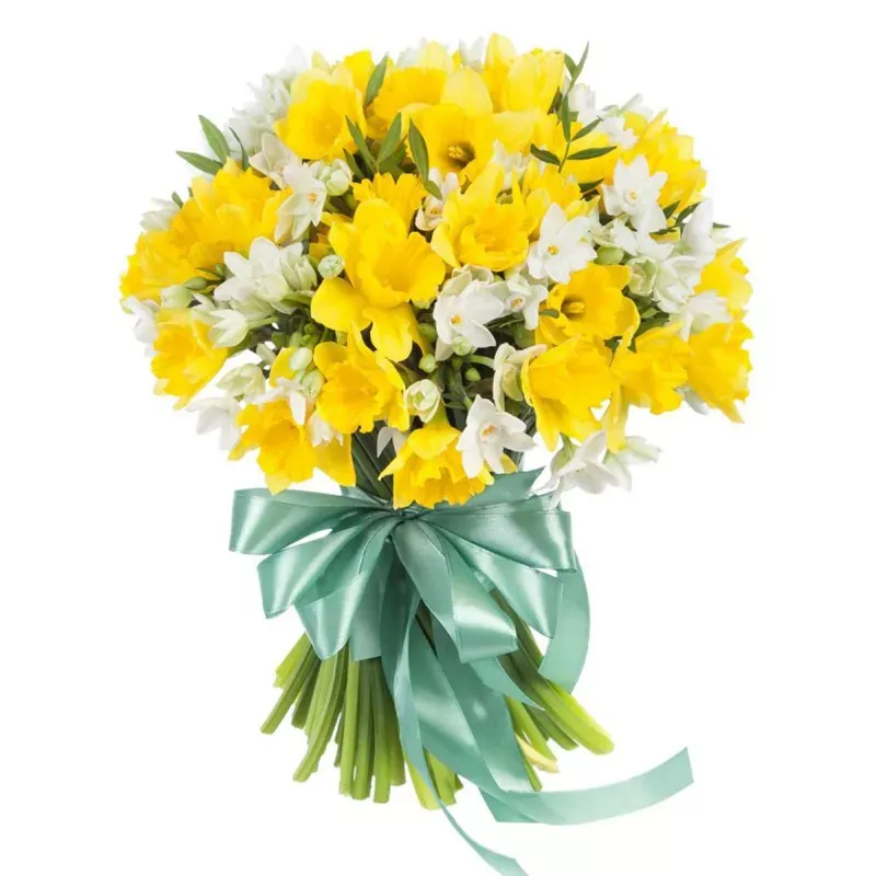 Нарцисс микс