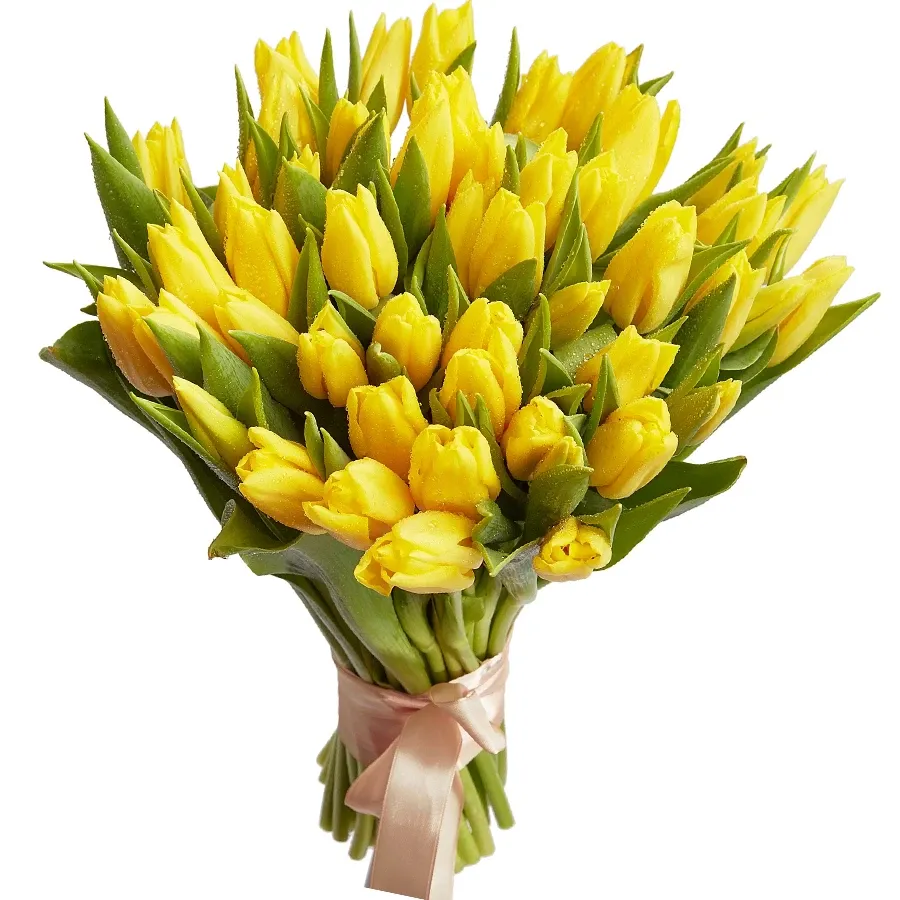 Тюльпаны желтые
